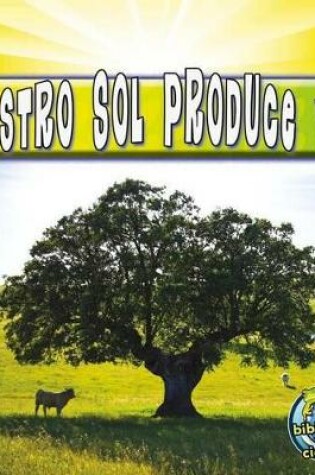 Cover of Nuestro Sol Produce Vida