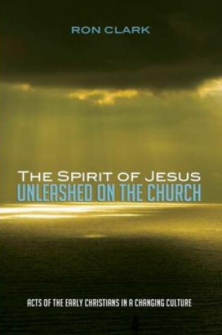 Cover of The Spirit of Jesus Unleashed on the Church