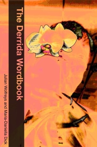 Cover of The Derrida Wordbook