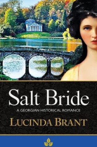 Cover of Salt Bride