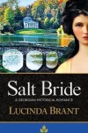 Book cover for Salt Bride