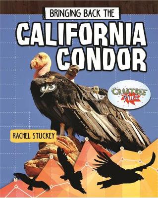 Cover of Bringing Back the California Condor