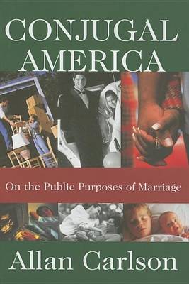 Book cover for Conjugal America