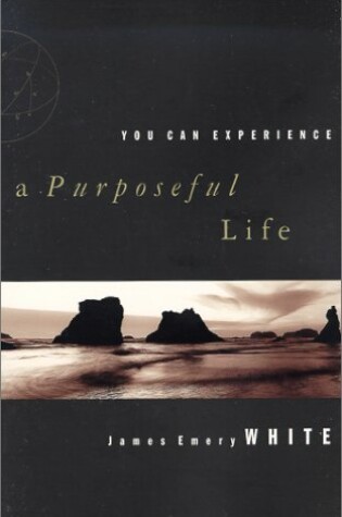 Cover of You Can Experience-- a Purposeful Life