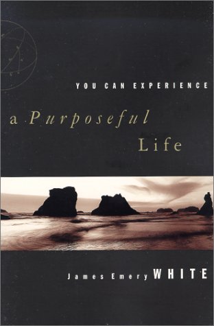 Book cover for You Can Experience-- a Purposeful Life