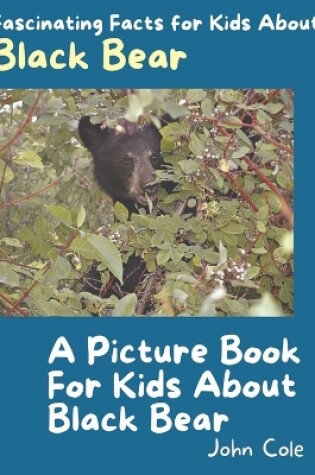 Cover of A Picture Book for Kids About Black Bear