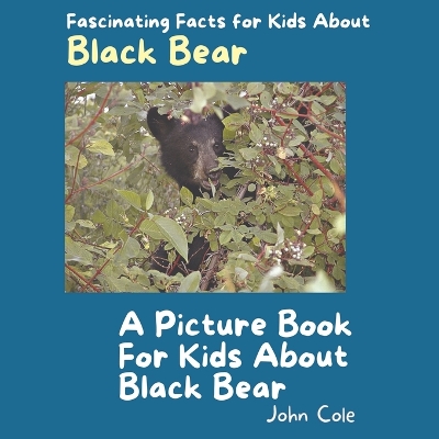 Cover of A Picture Book for Kids About Black Bear