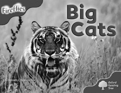 Book cover for Oxford Reading Tree: Stage 4 (Pack A): More Fireflies: Big Cats