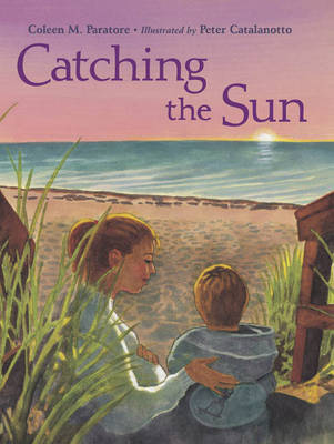 Book cover for Catching the Sun