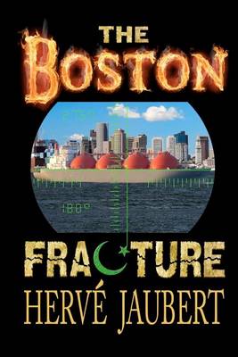 Book cover for The Boston fracture