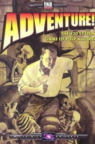 Cover of Adventure d20 System