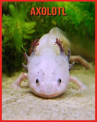 Book cover for Axolotl