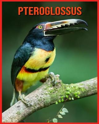 Book cover for Pteroglossus