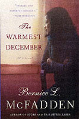 Book cover for The Warmest December