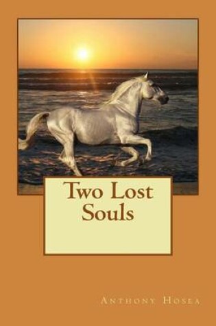 Cover of Two Lost Souls