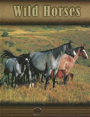 Book cover for Wild Horses