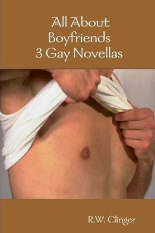 Cover of All About Boyfriends : 3 Gay Novellas