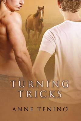 Book cover for Turning Tricks