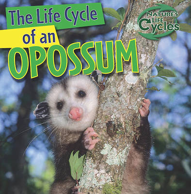 Book cover for The Life Cycle of an Opossum