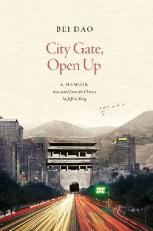 Cover of City Gate, Open Up