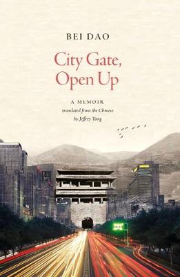 Book cover for City Gate, Open Up