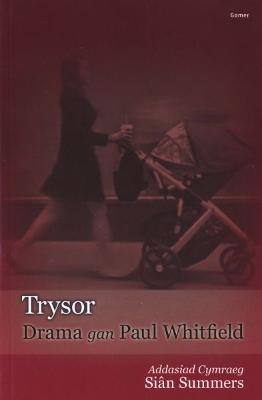 Book cover for Trysor