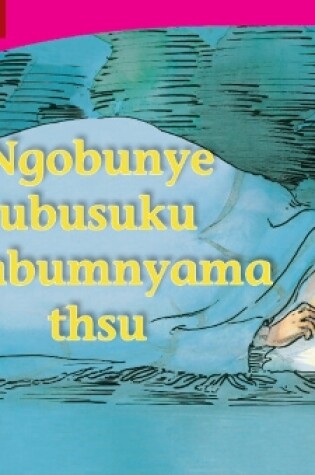 Cover of Ngobunye ubusuku obabumnyama thsu (IsiXhosa)