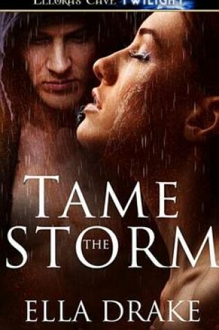 Cover of Tame the Storm