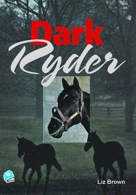 Book cover for Dark Ryder