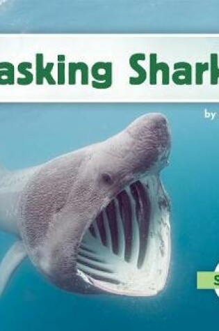 Cover of Basking Sharks