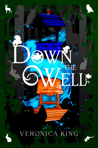Book cover for Down The Well