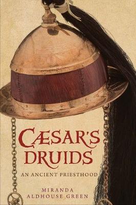 Book cover for Caesar's Druids