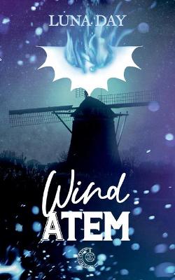 Book cover for Windatem