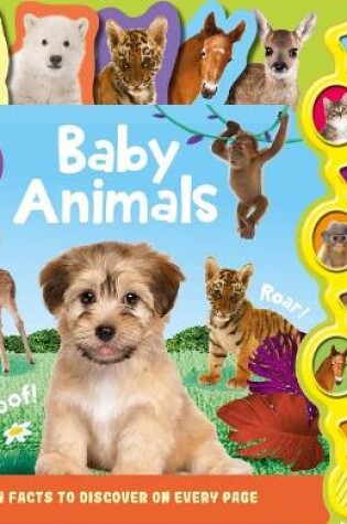 Cover of Baby Animals