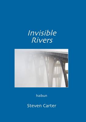 Book cover for Invisible Rivers