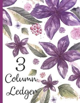 Book cover for 3 Column Ledger