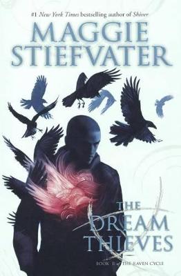 Book cover for Dream Thieves