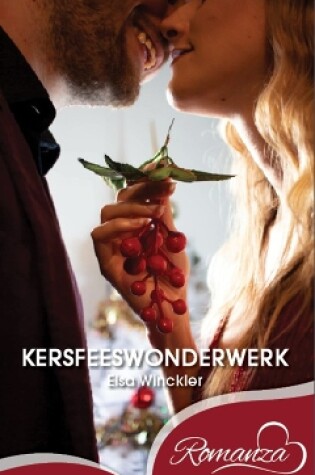 Cover of Kersfeeswonderwerk