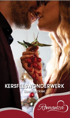 Book cover for Kersfeeswonderwerk