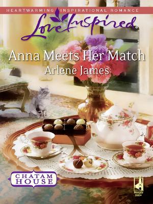 Book cover for Anna Meets Her Match
