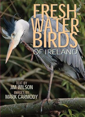 Book cover for Freshwater Birds of Ireland