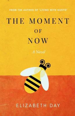 Book cover for The Moment of Now