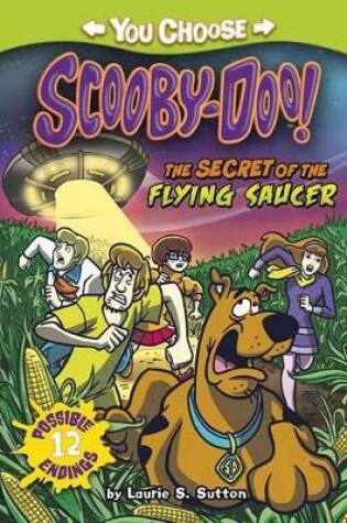 Cover of Secret of the Flying Saucer