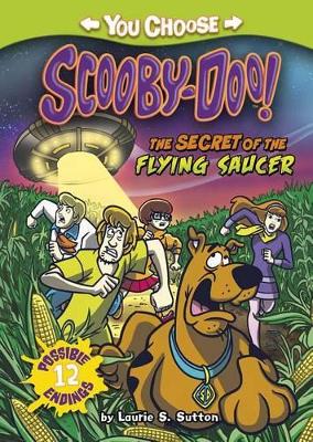 Book cover for Secret of the Flying Saucer