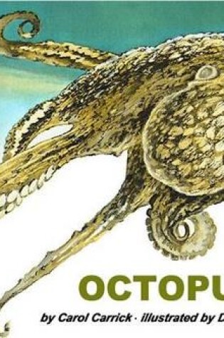 Cover of Octopus