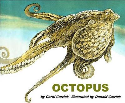 Book cover for Octopus