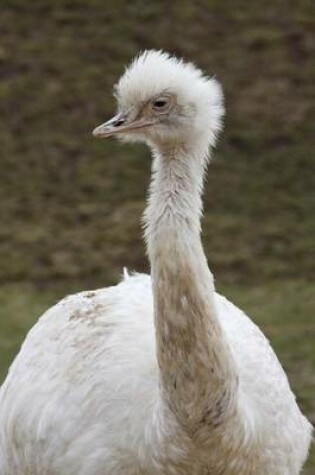 Cover of A Greater White Rhea Bird Journal