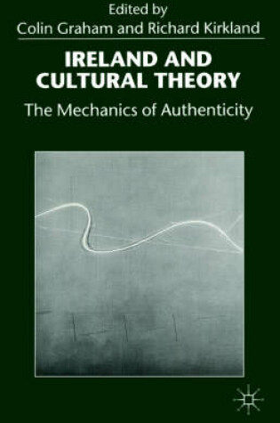 Cover of Ireland and Cultural Theory