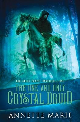 Book cover for The One and Only Crystal Druid