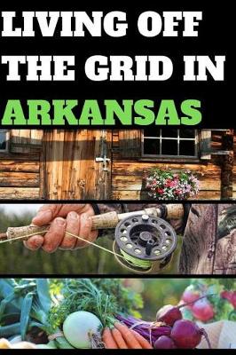 Book cover for Living Off the Grid in Arkansas